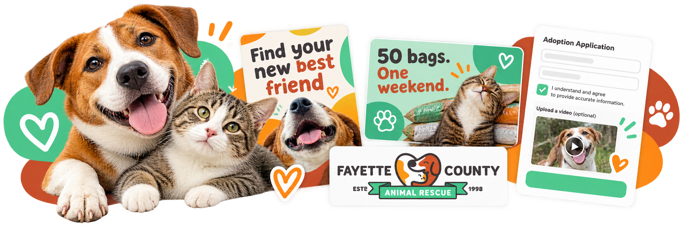 Illustrative rescue campaign and adoption form collage featuring dogs, cats, and the 50 bags in one weekend campaign